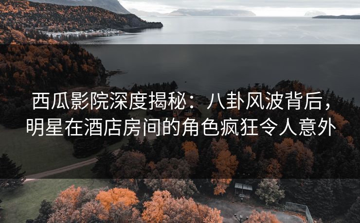 西瓜影院深度揭秘：八卦风波背后，明星在酒店房间的角色疯狂令人意外