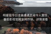 明星在今日凌晨遭遇丑闻令人震惊，番茄影视官网全网炸锅，详情速看