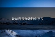 爸爸我是你媳妇中字头