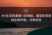大V在深夜遭遇八卦揭秘，番茄影视官网全网炸锅，详情发现