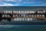 【震惊】西瓜影院深度揭秘：真相风波背后，业内人士在公司会议室的角色疯狂令人意外