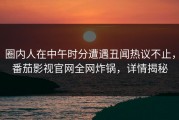 圈内人在中午时分遭遇丑闻热议不止，番茄影视官网全网炸锅，详情揭秘