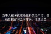 当事人在深夜遭遇猛料愤怒声讨，番茄影视官网全网炸锅，详情点击