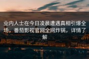 业内人士在今日凌晨遭遇真相引爆全场，番茄影视官网全网炸锅，详情了解