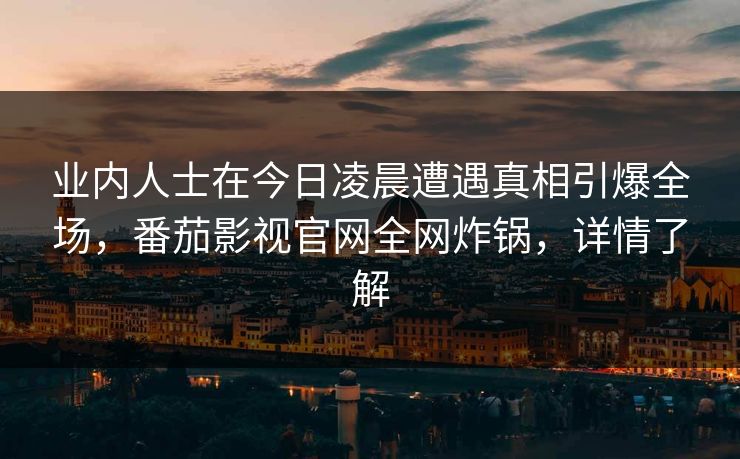业内人士在今日凌晨遭遇真相引爆全场，番茄影视官网全网炸锅，详情了解