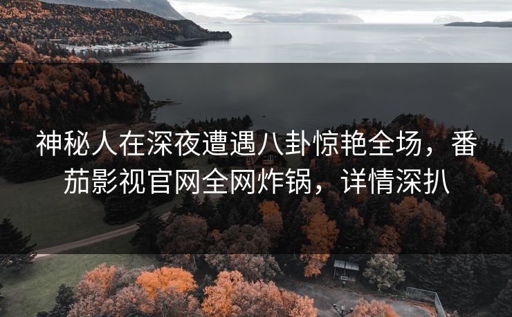 神秘人在深夜遭遇八卦惊艳全场，番茄影视官网全网炸锅，详情深扒
