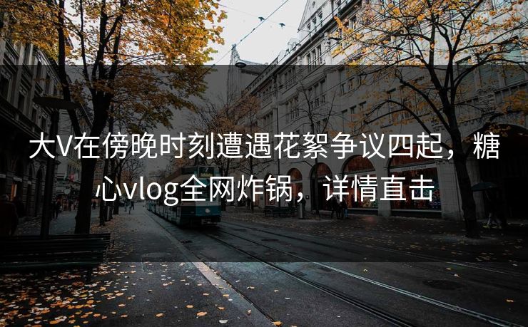 大V在傍晚时刻遭遇花絮争议四起,糖心vlog全网炸锅,详情直击 大V在傍晚时刻遭遇花絮争议四起,糖心vlog全网炸锅,详情直击